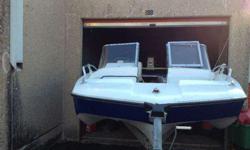 I have a 1969 glastron boat 15' length a motor is 1969 Johnson 55 horsepower the motor no work .I it repaired last summer but it's broken again, is a good project boat call or text