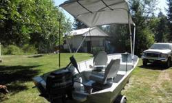 25 hp Merc (recent tuneup) ,32 lb thrust Minkota Electric Motor. Great boat, economical, side trays and tray by motor to put "stuff". Easy Load Trailer, three non-slip trailer walkplates; ; new tires (which just cost me $200.00); bearing buddies new