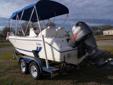 $15,000 COBIA Center Console Boat w/trailer 2001